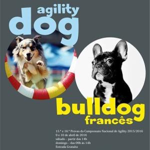 Campeonato de Agility e Encontro Bulldog Francês