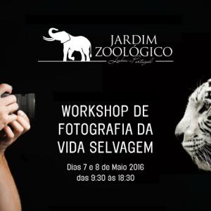 1º workshop Fotografia da Vida Selvagem 