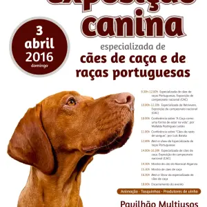 Exposição canina especializada de cães de caça e d