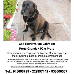 Desapareceu em Leça da Palmeira
