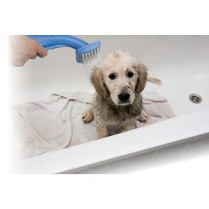 PetZoom Bathe N(SINGLE_QUOTE) Groom All-in-One Brush