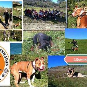 Cãominhada Primavera