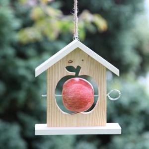 Unique and Cute Apple Bird Feeder
