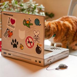 Funny Cat Scratch Laptop