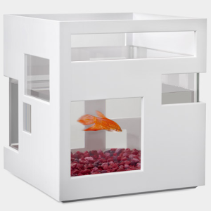 Modern Fish Hotel FishTank