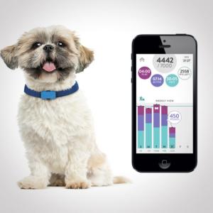 FitBark - Dog Activity Monitor