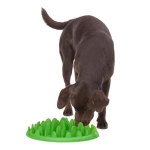 Green Interactive Pet Feeder