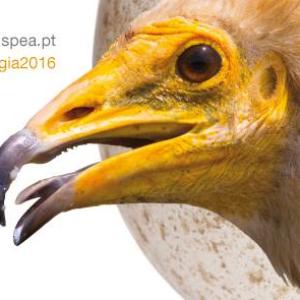 Congresso de Ornitologia