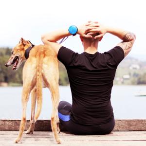 Lishinu - Innovative Dog Leash