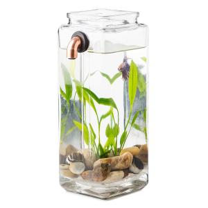 Incredible No Clean Aquarium