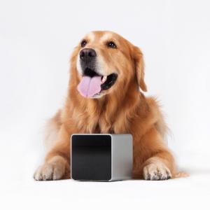 Petcube – Remote Wireless Pet Camera