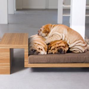 Modern Pet Bed - Petsmood DIVANATO