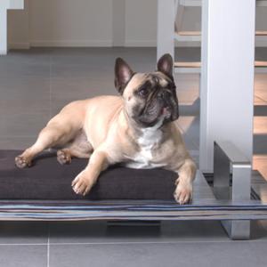 Modern And Stylish Pet Bed petsmood PIEDATO
