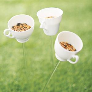 Teacup Bird Drinker Or Feeder