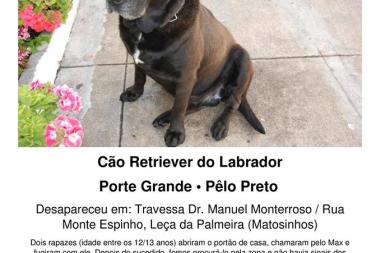 Desapareceu em Leça da Palmeira