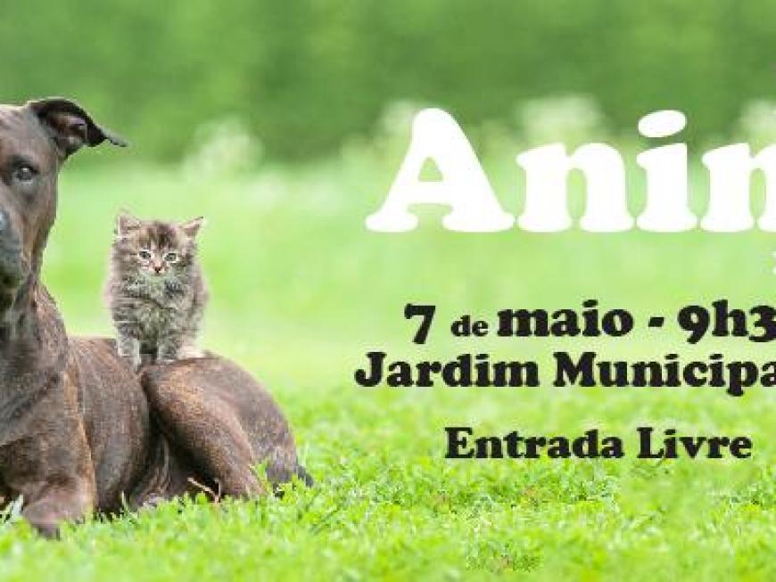 Feira Animal Oeiras