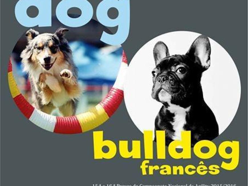 Campeonato de Agility e Encontro Bulldog Francês