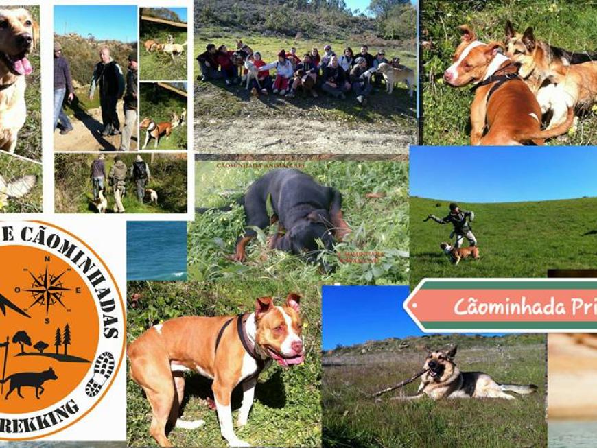 Cãominhada Primavera