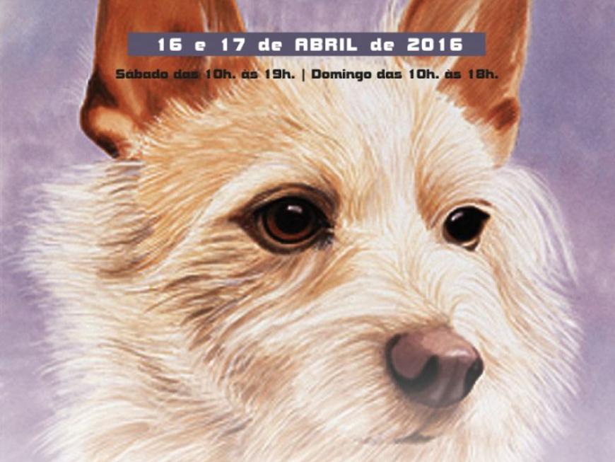 Exposição Canina das Caldas da Rainha