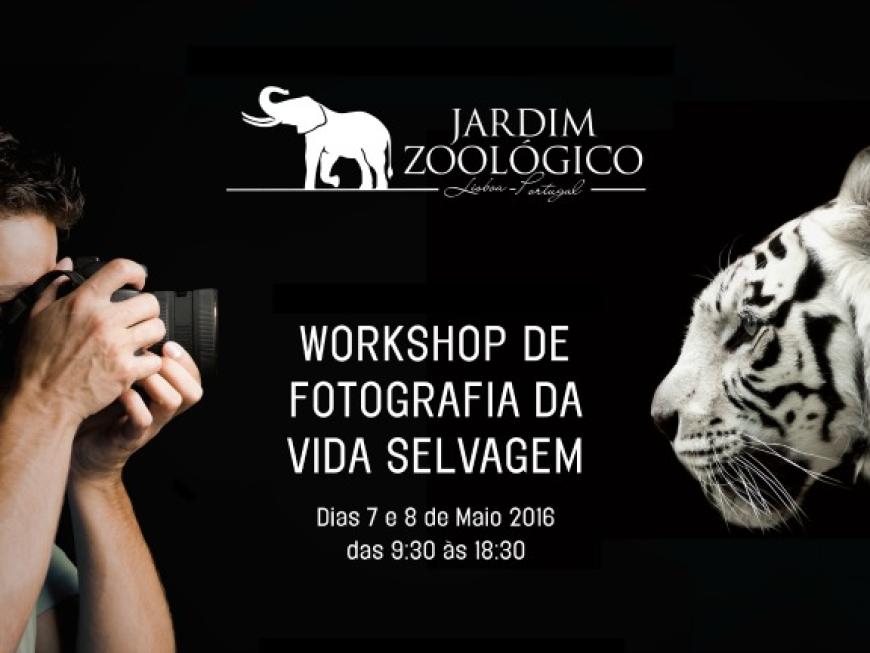 1º workshop Fotografia da Vida Selvagem 