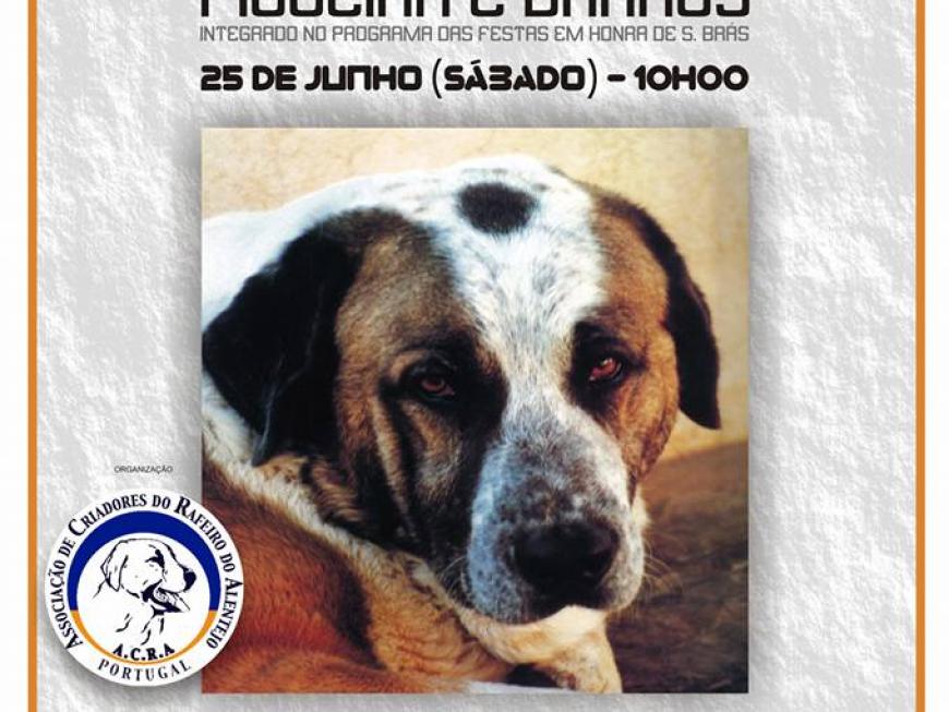 I Concurso Regional do Rafeiro do Alentejo