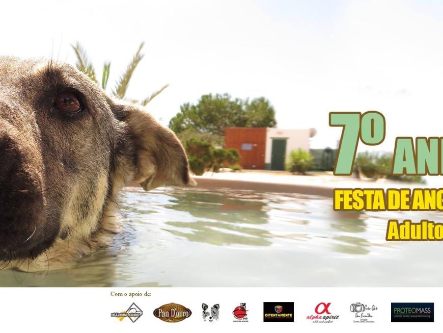 7º Aniversário Cantinho da Milu