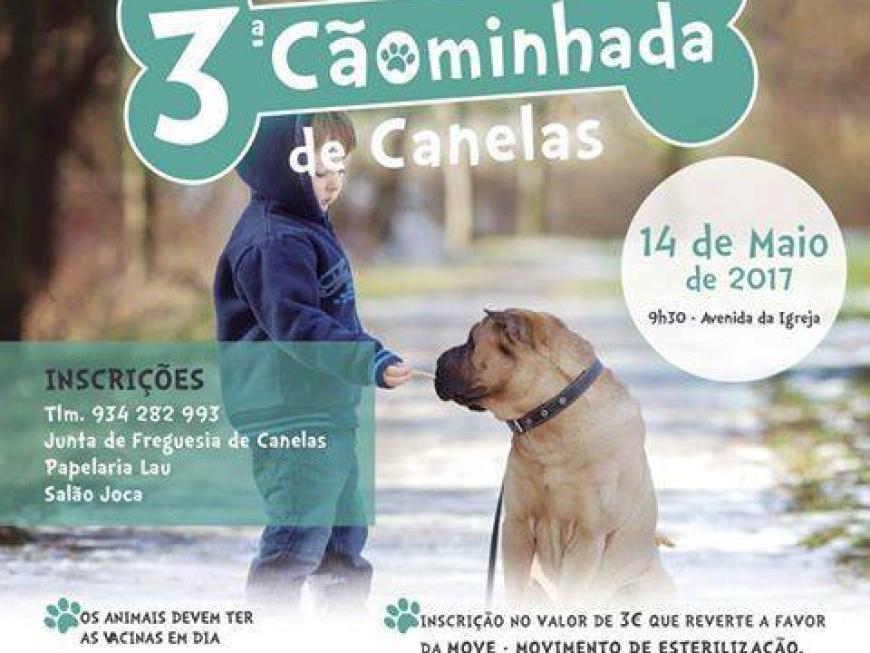 3ª Cãominhada de Canelas