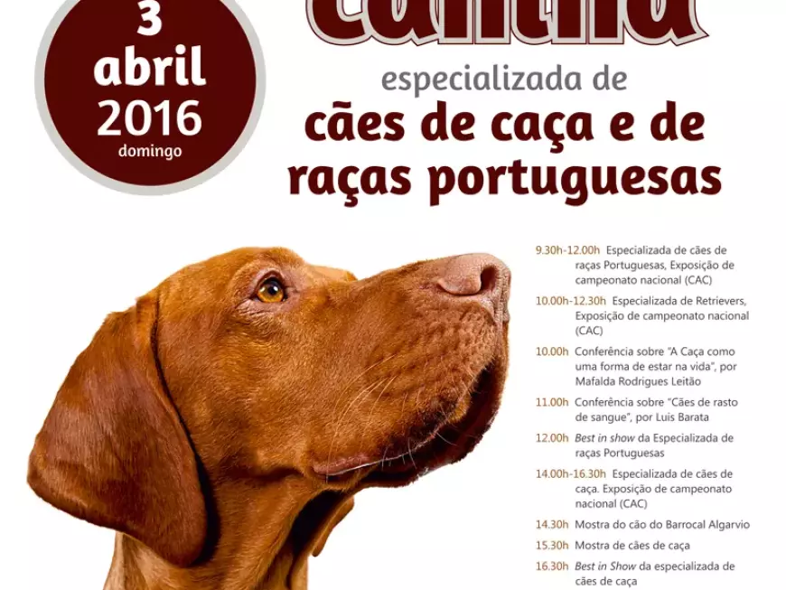 Exposição canina especializada de cães de caça e d