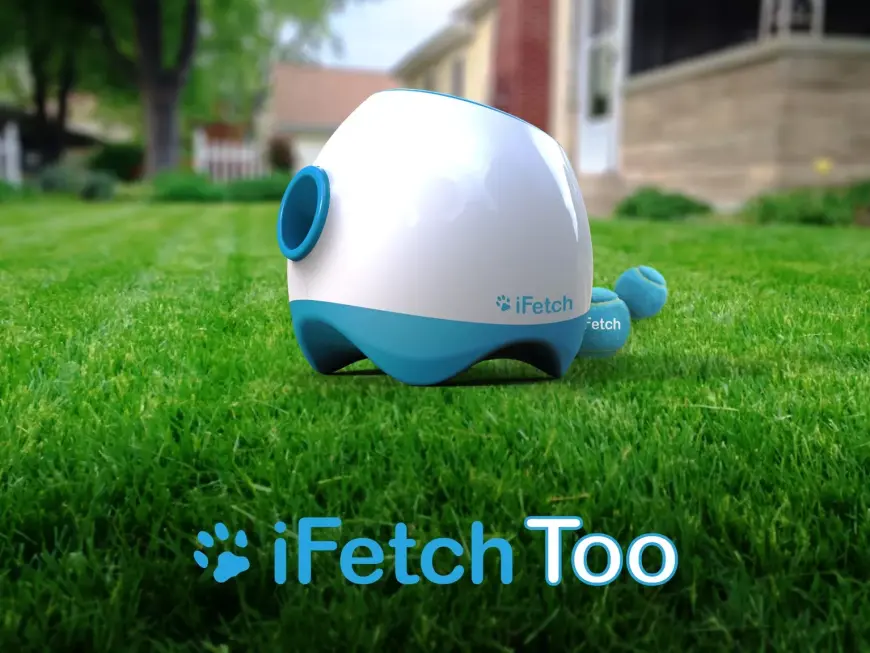 iFetch Too! 