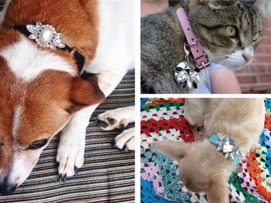 FIERCE - Jewels For Your Beastie