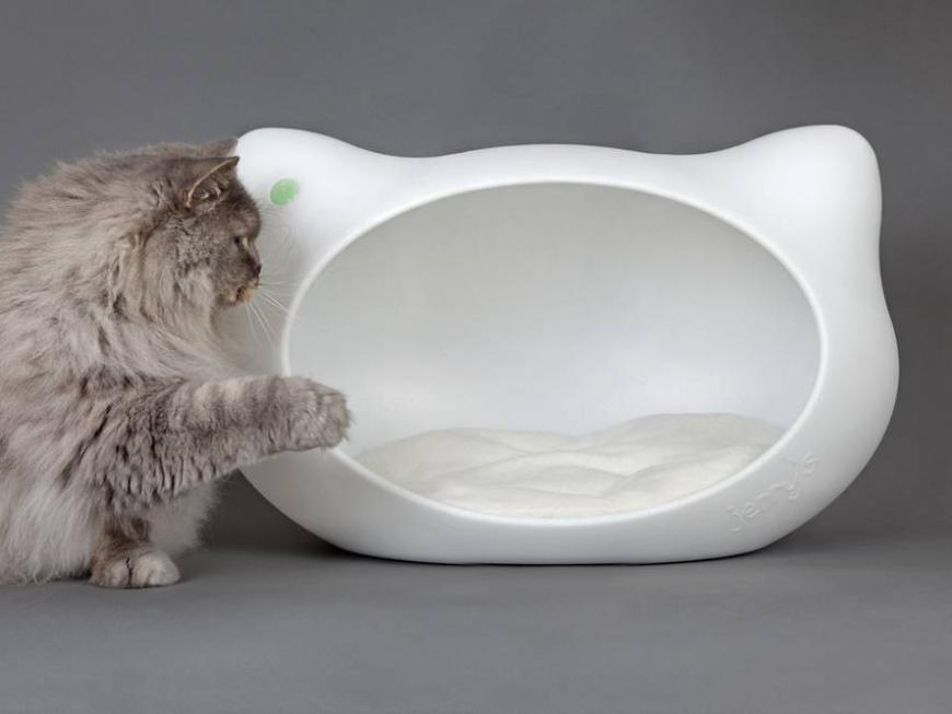 Jerry(SINGLE_QUOTE)s cat cave