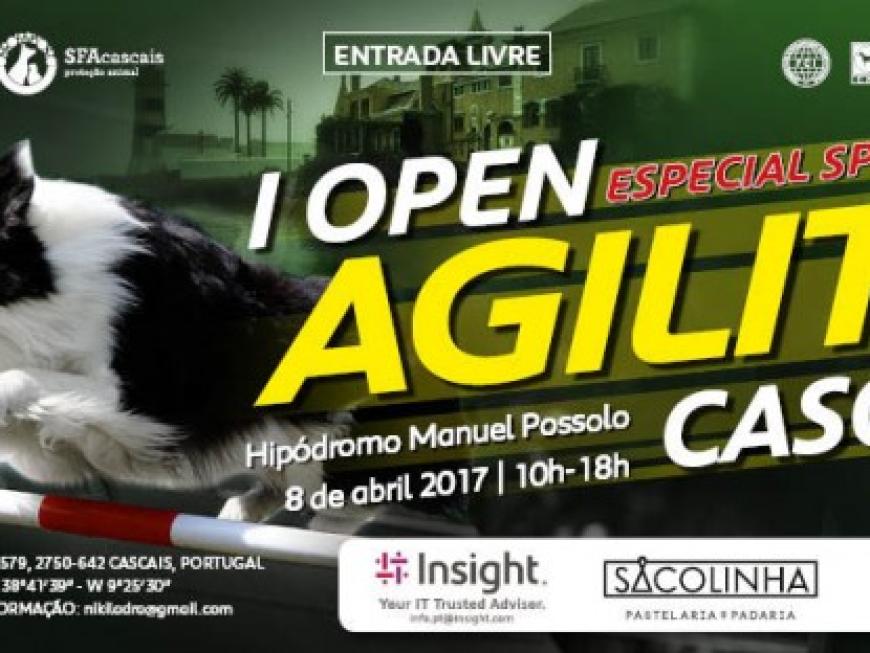 1º TROFÉU CASCAIS DE AGILITY