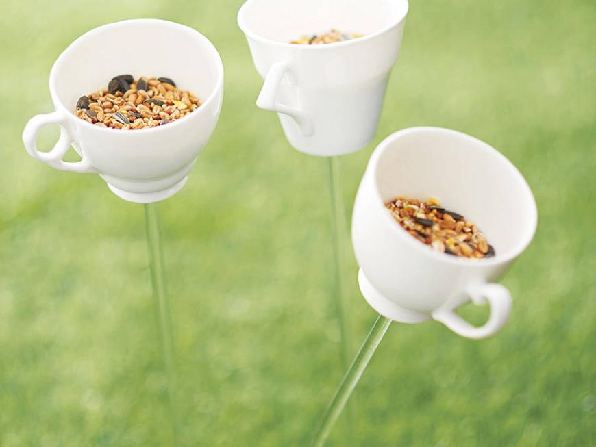 Teacup Bird Drinker Or Feeder