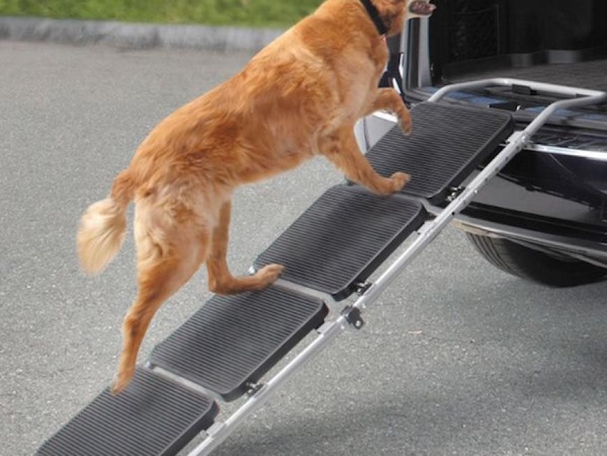 Portable Pet Staircase