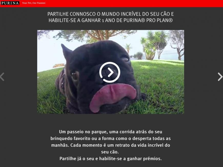 Concurso Purina PRO PLAN