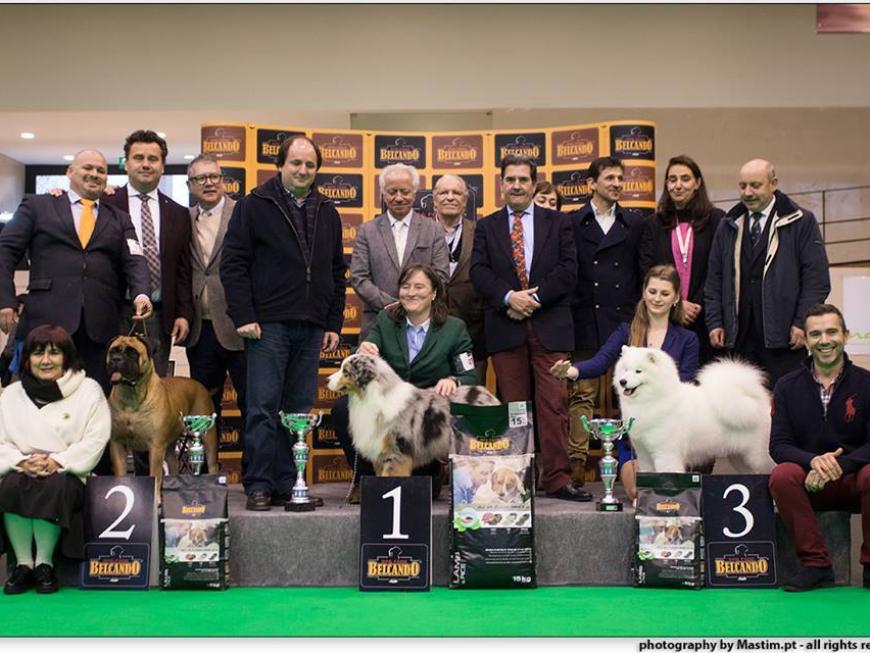9.ª Exposição Canina Nacional de Fafe
