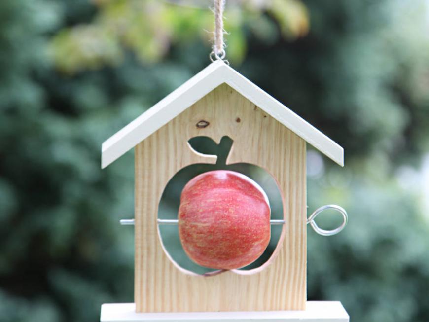 Unique and Cute Apple Bird Feeder