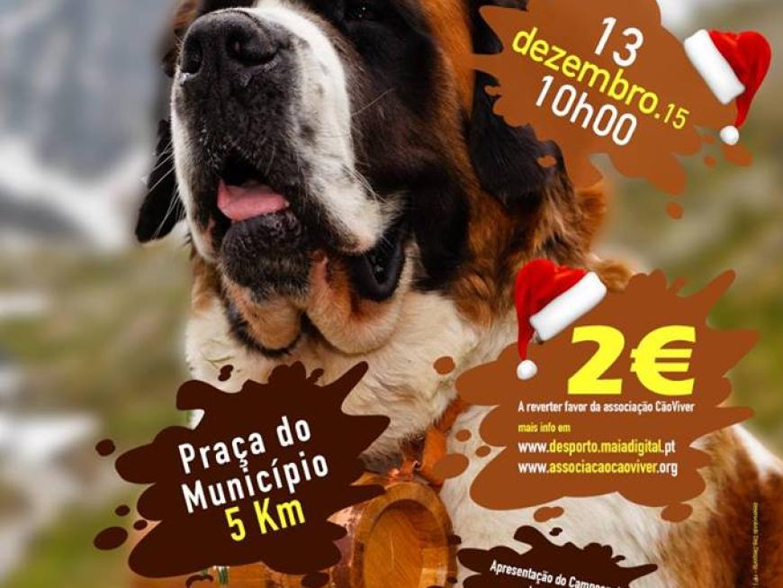  3ª Cãominhada de Natal da Maia