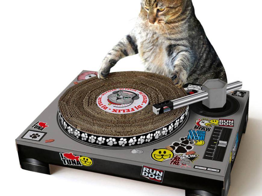 Unique Cat Scratch Dj Deck