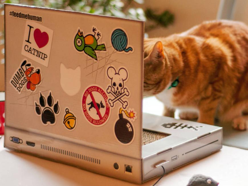 Computador Portátil Afiador de Unhas Engraçado para Gatos