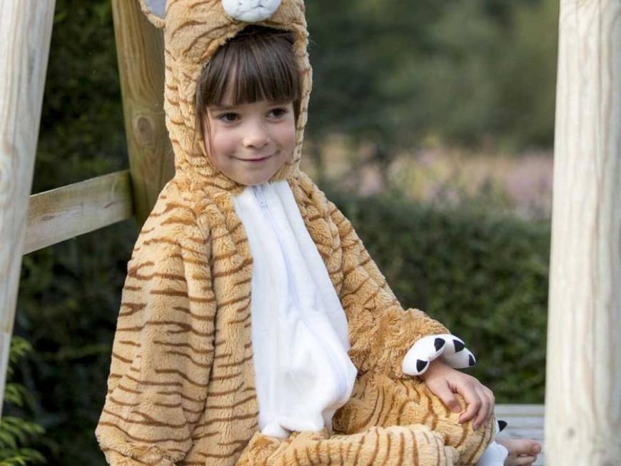 Children's Tabby Cat Dress Up Costume