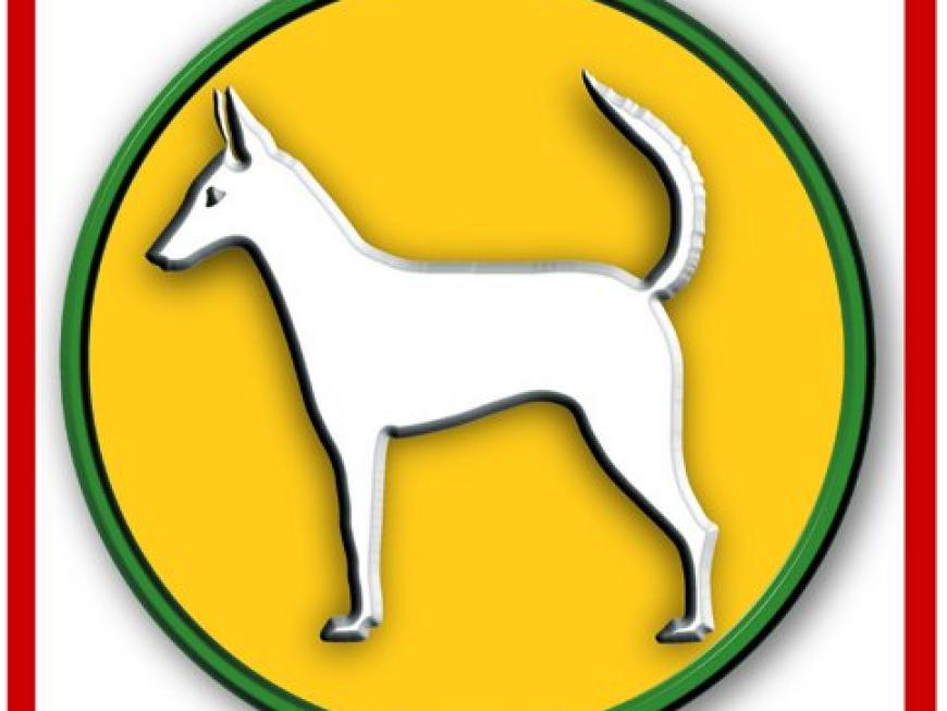 7.ª Exposição Canina Nacional do Fundão