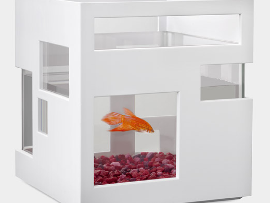 Modern Fish Hotel FishTank