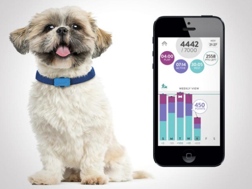 FitBark - Dog Activity Monitor