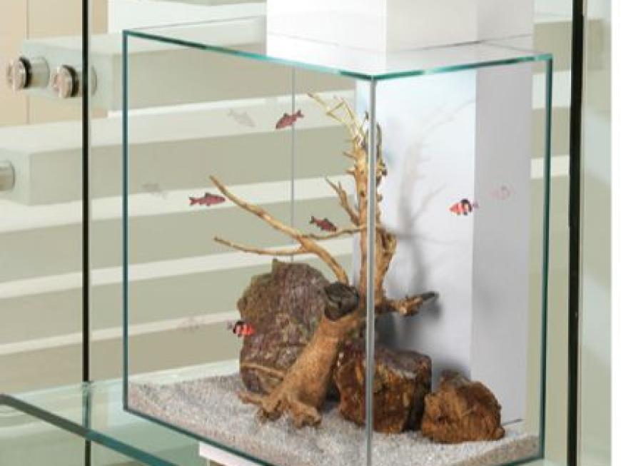 Fluval Edge LED Design Aquarium