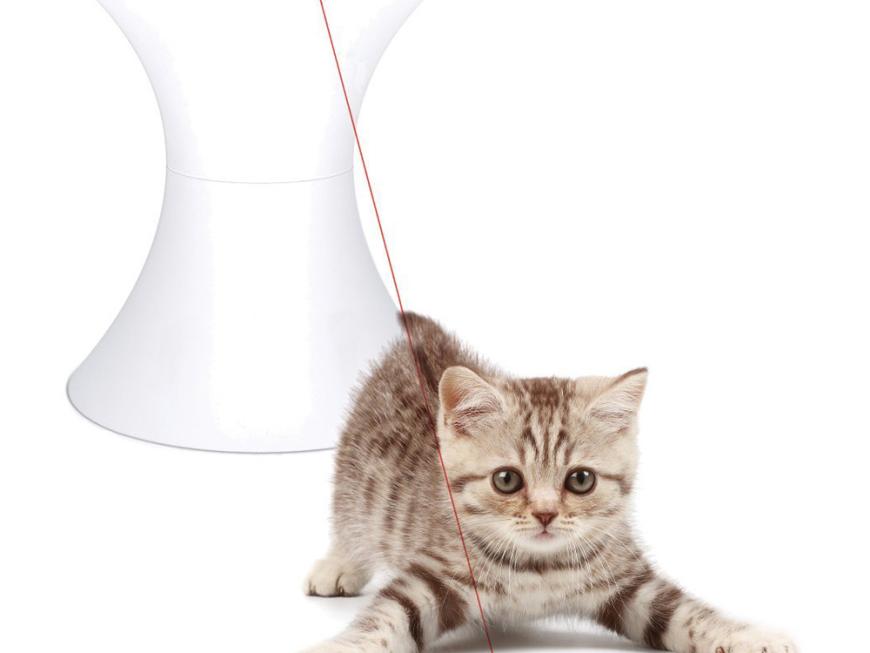 PetSafe FroliCat Dart Interactive Pet Toy