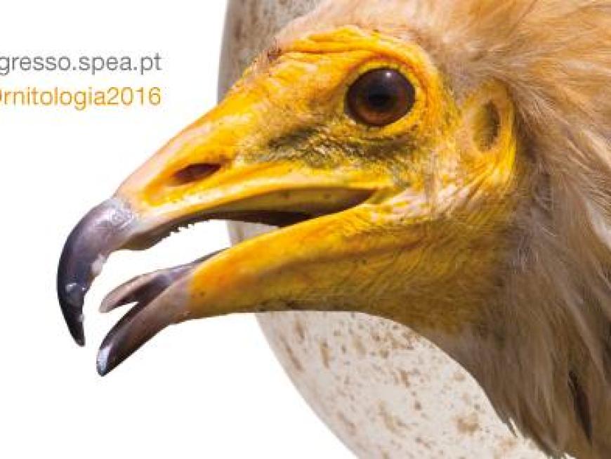 Congresso de Ornitologia