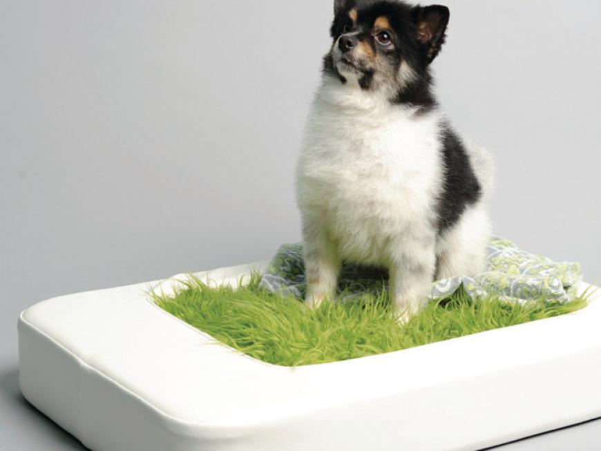 MODERN PET BED SYSTEM - NESTo