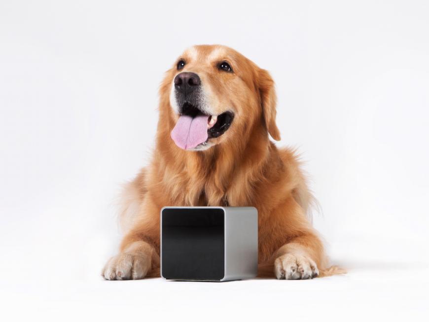 Petcube – Remote Wireless Pet Camera