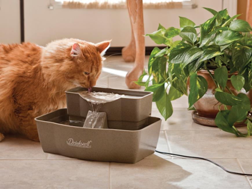 PetSafe Drinkwell Multi-tier Fountain